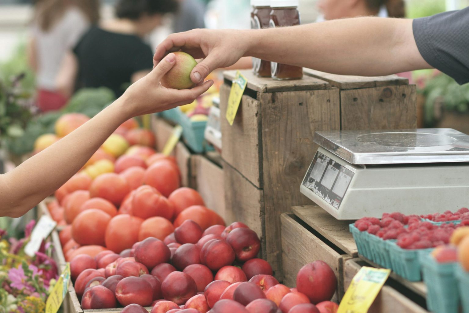 Celebrating Local Food While Creating Safer Gathering Spaces