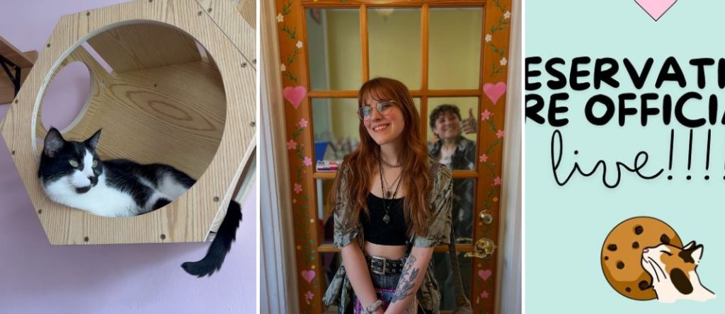 Lancaster Cat Cafe – A Purrfect Blend of Coffee, Cats, and Community! Lancaster Cat Cafe