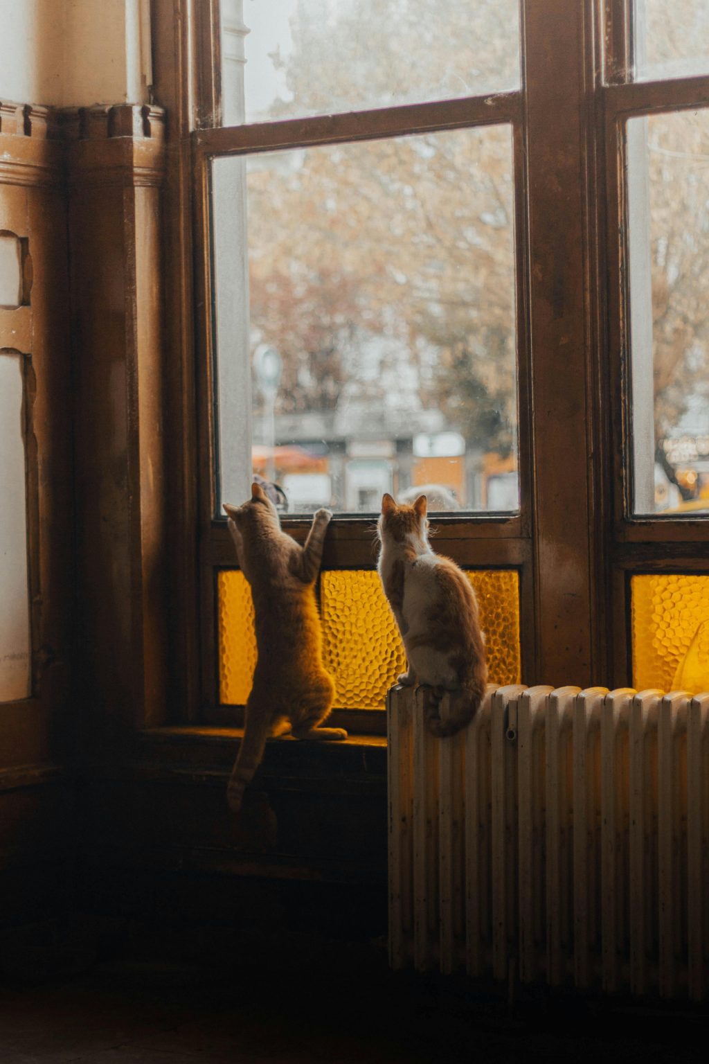 The Radiator Mistakes Silently Adding £600 to Your Heating Bill