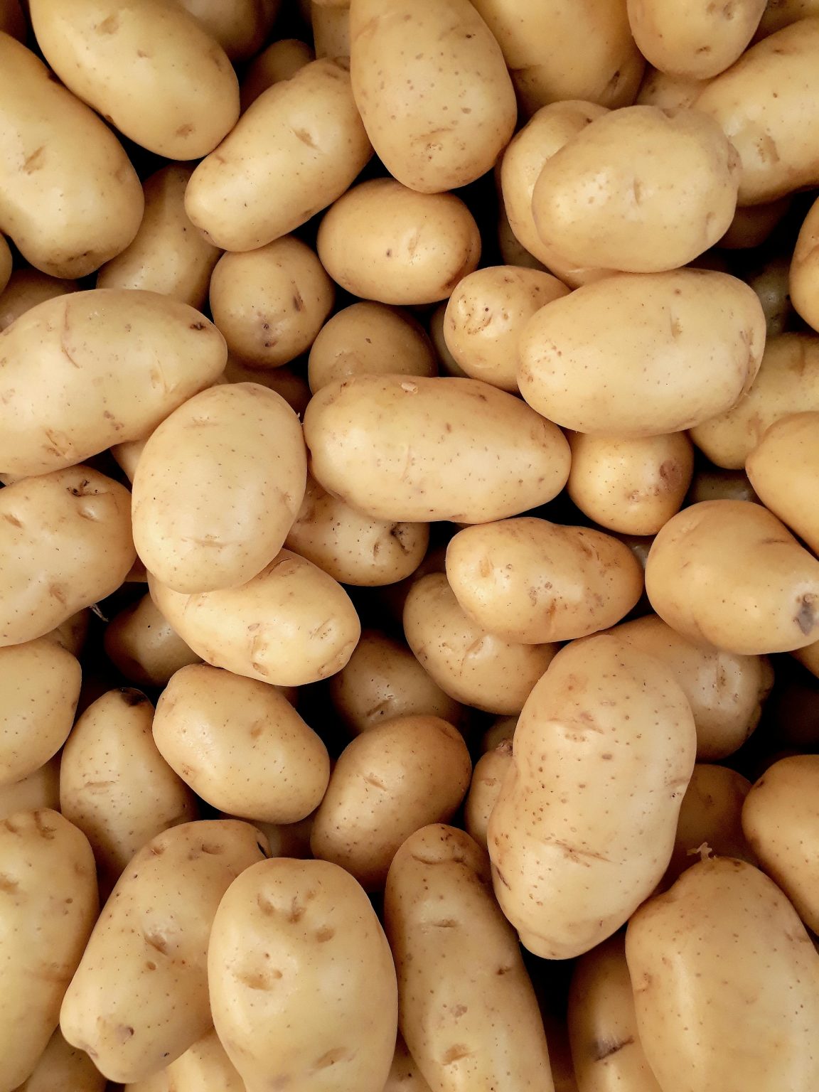 BRITS EAT TWO MILLION TONNES OF POTATOES EVERY YEAR